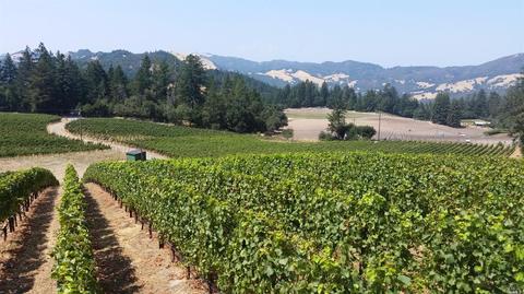 4430 Trinity Rd, Glen Ellen, CA 95442 photo 4
