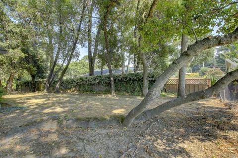 945 Ignacio Blvd, Novato, CA 94949 photo 30