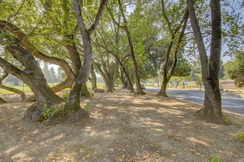 945 Ignacio Blvd, Novato, CA 94949 photo 35