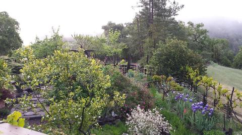 23591 Vineyard Rd, Geyserville, CA 95441 photo 31