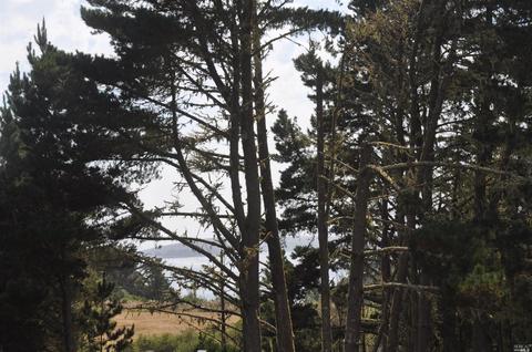 1530 Ranch Rd, Bodega Bay, CA 94923 photo 17
