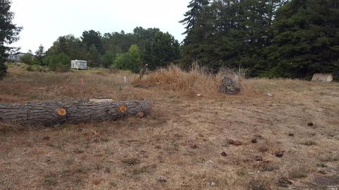 17 Everett Rd, Petaluma, CA 94952 photo 2