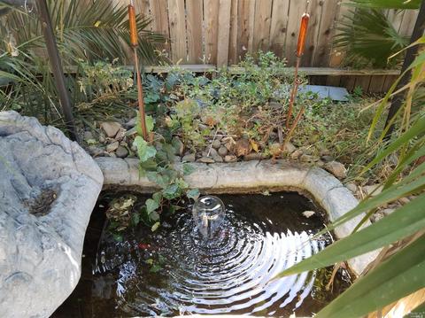 451 S Adams St, Dixon, CA 95620 photo 15