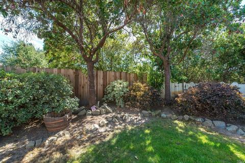 3991 Bodega Ave, Petaluma, CA 94952 photo 41