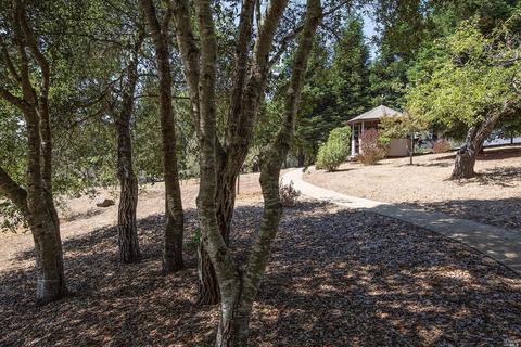 Undisclosed, Sebastopol, CA 95472 photo 42