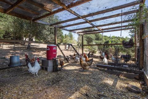 Undisclosed, Sebastopol, CA 95472 photo 46