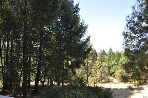 4830 Bear Canyon Rd, Willits, CA 95490 photo 21