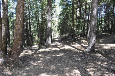4830 Bear Canyon Rd, Willits, CA 95490 photo 22