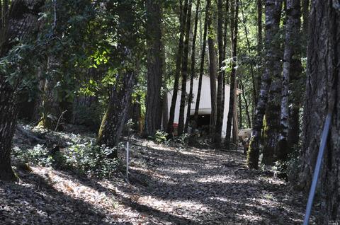 4830 Bear Canyon Rd, Willits, CA 95490 photo 17