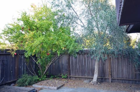 731 Marsh Dr, Napa, CA 94558 photo 5