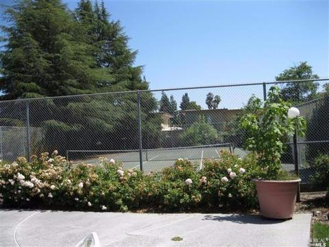731 Marsh Dr, Napa, CA 94558 photo 4