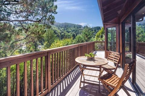 403 Wendy Way, Mill Valley, CA 94941 photo 10
