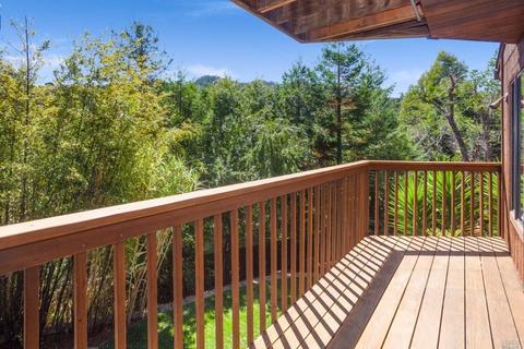 403 Wendy Way, Mill Valley, CA 94941 photo 13