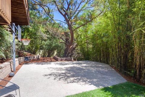 403 Wendy Way, Mill Valley, CA 94941 photo 28