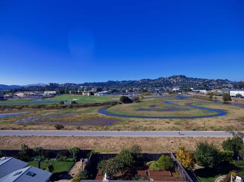 105 Birch Ave, Corte Madera, CA 94925 photo 21