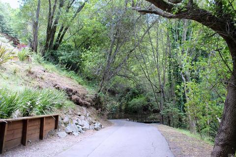 64 Madrone Park Cir, Mill Valley, CA 94941 photo 2