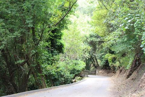 64 Madrone Park Cir, Mill Valley, CA 94941 photo 7