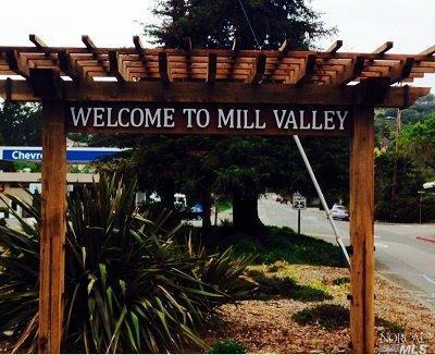 64 Madrone Park Cir, Mill Valley, CA 94941 photo 9