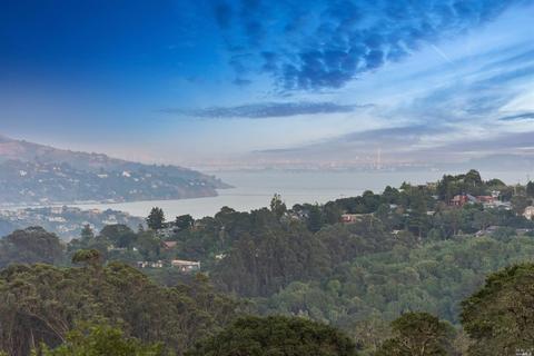 660 Amaranth Blvd, Mill Valley, CA 94941 photo 46