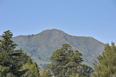 660 Amaranth Blvd, Mill Valley, CA 94941 photo 4
