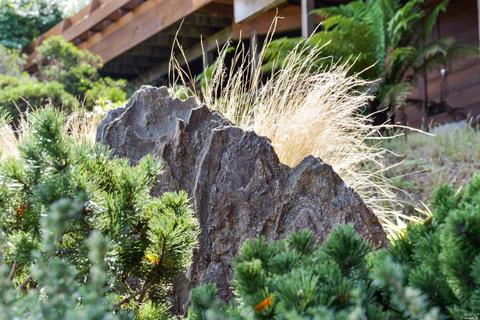 660 Amaranth Blvd, Mill Valley, CA 94941 photo 50