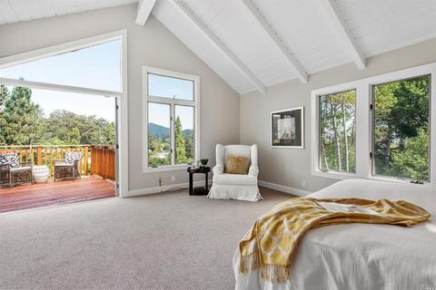 121 Reed St, Mill Valley, CA 94941 photo 27