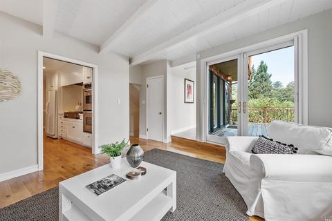 121 Reed St, Mill Valley, CA 94941 photo 22