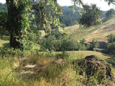 Undisclosed, Willits, CA 95490 photo 34
