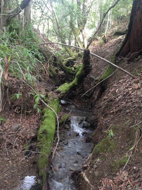 Undisclosed, Willits, CA 95490 photo 27