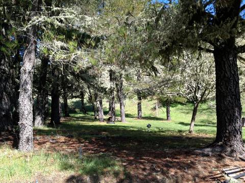 Undisclosed, Willits, CA 95490 photo 35