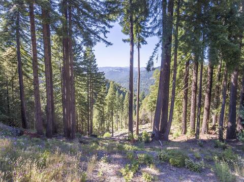 145 Magic Mountain Rd, Cazadero, CA 95421 photo 1
