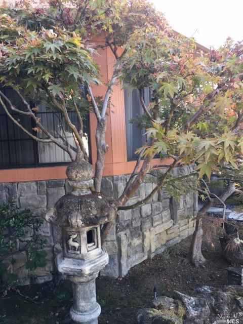 313 Darley Dr, Vallejo, CA 94591 photo 3