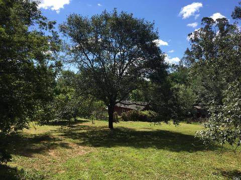 9656 Oconnell Rd, Sebastopol, CA 95472 photo 45
