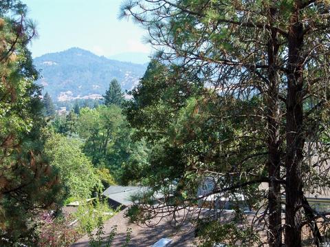 Undisclosed, Willits, CA 95490 photo 28