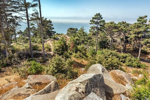 22177 Highway 1, Jenner, CA 95450 photo 27