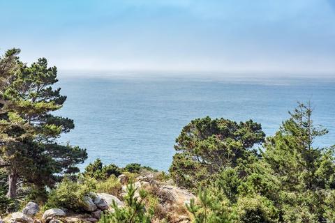 22177 Highway 1, Jenner, CA 95450 photo 3