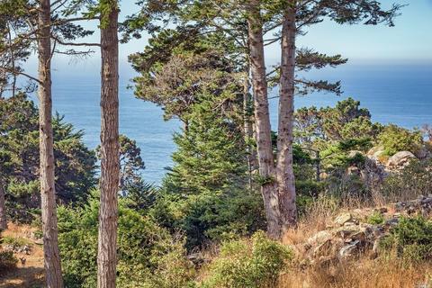 22177 Highway 1, Jenner, CA 95450 photo 26