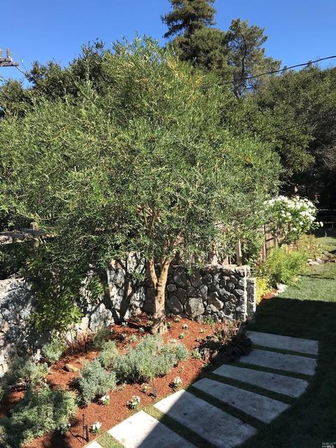 4875 Paradise Dr, Tiburon, CA 94920 photo 44