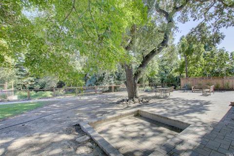 404 Walnut Dr, Fairfield, CA 94534 photo 7