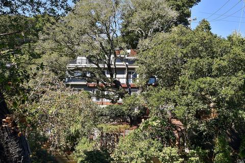 24 Summit Dr, Corte Madera, CA 94925 photo 26