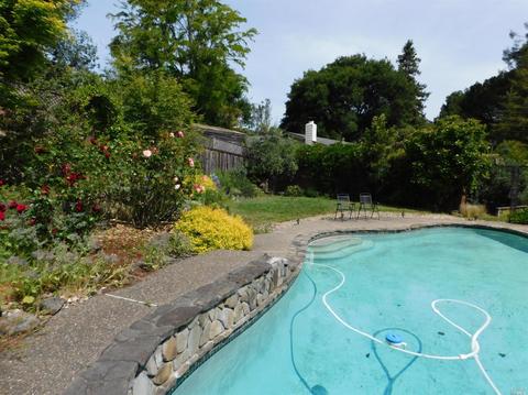 868 Cherry St, Petaluma, CA 94952 photo 20