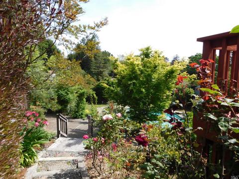 868 Cherry St, Petaluma, CA 94952 photo 21