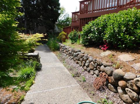 868 Cherry St, Petaluma, CA 94952 photo 43