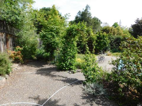 868 Cherry St, Petaluma, CA 94952 photo 23