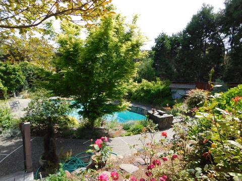 868 Cherry St, Petaluma, CA 94952 photo 22