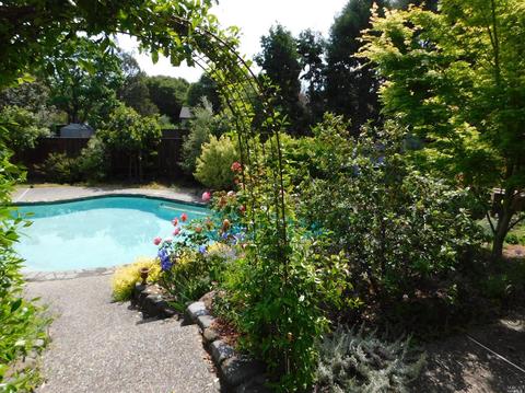 868 Cherry St, Petaluma, CA 94952 photo 24