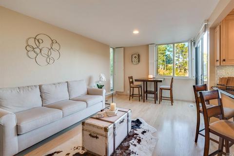 389 County View Dr, Mill Valley, CA 94941 photo 21