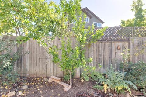 8368 Trione Cir, Windsor, CA 95492 photo 31