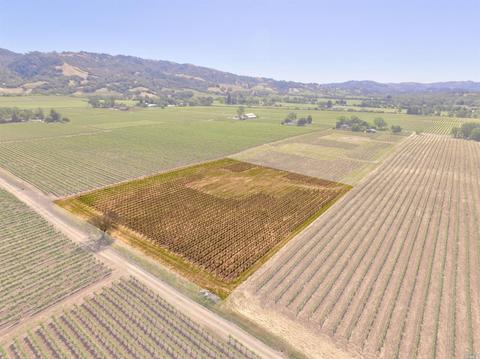 4795 E Soda Rock Ln E, Healdsburg, CA 95448 photo 36