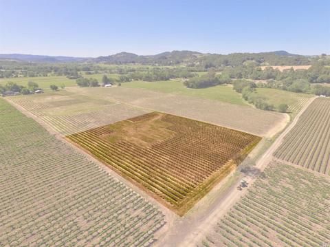 4795 E Soda Rock Ln E, Healdsburg, CA 95448 photo 24